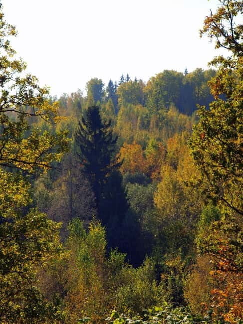 Pokaini stone agglomerates, Dobele castle, children park - Key Points