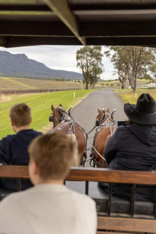 Pokolbin: Harvest the Hunter Horse Drawn Carriage Tour 3hrs - Key Points