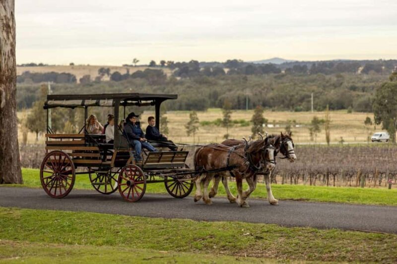 Pokolbin: Harvest the Hunter Horse Drawn Carriage Tour 3hrs - A Deep Dive into the Experience