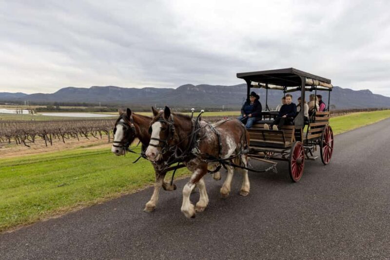Pokolbin: Harvest the Hunter Horse Drawn Carriage Tour 3hrs - The Sum Up