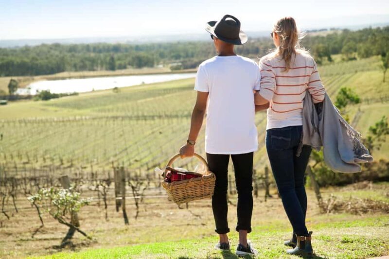 Pokolbin: Picnic & Wine Tasting at Audrey Wilkinson Vineyard - The Experience: What You Can Expect