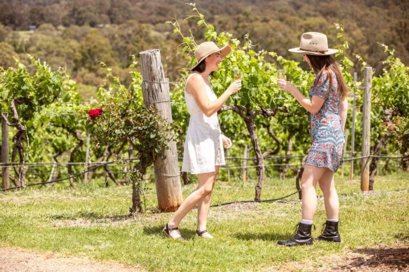 Pokolbin: Picnic & Wine Tasting at Audrey Wilkinson Vineyard - FAQs