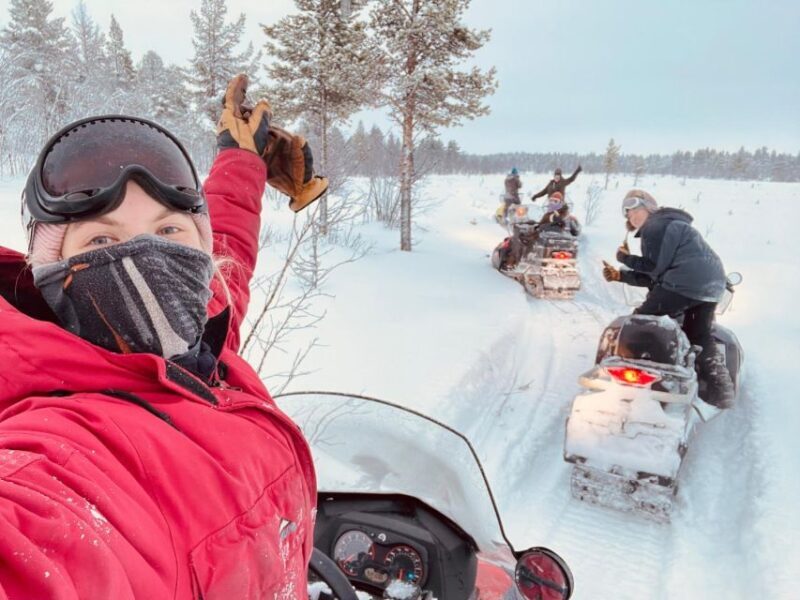 Polar Nature Tour on Snowmobile - Analyzing the Value: Is It Worth the Price?