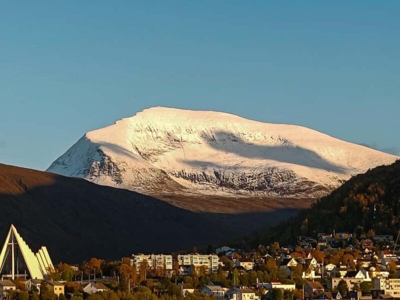 POLARIA AND FAMILY FRIENDLY CITY WALK - What Makes This Tour Special?