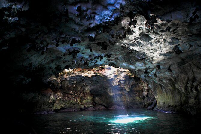 Polignano a Mare boat tour emotions, caves, diving and appetizers - Key Points