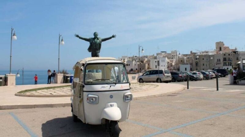 Polignano a Mare: Tuk-Tuk Tour Along the Coast - Why Choose a Tuk-Tuk Tour?