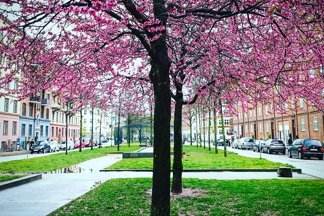 Politically Incorrect Beer Walk - Who this tour suits best