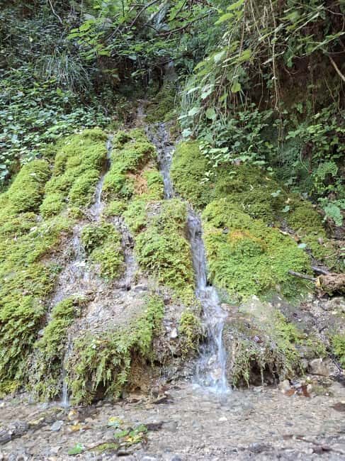 Pollino National Park: Trekking in the Argentino Nature Reserve - What to Expect from Your Trekking Day