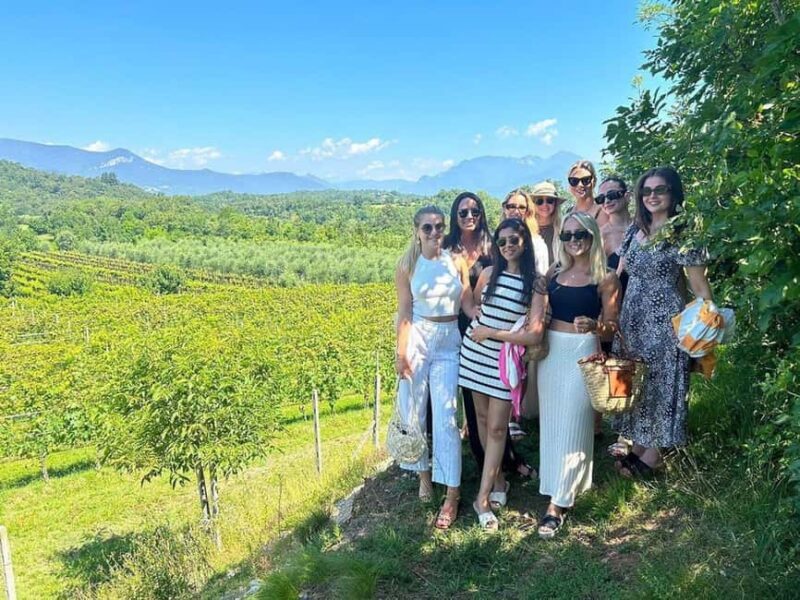Polpenazze: Winery Tour with 4 Valtenesi Rosè Wines and Food - Practical Details and Considerations