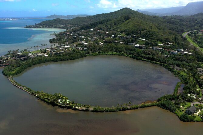 Polynesian Show and Dining experience with Transfer - What Travelers Are Saying