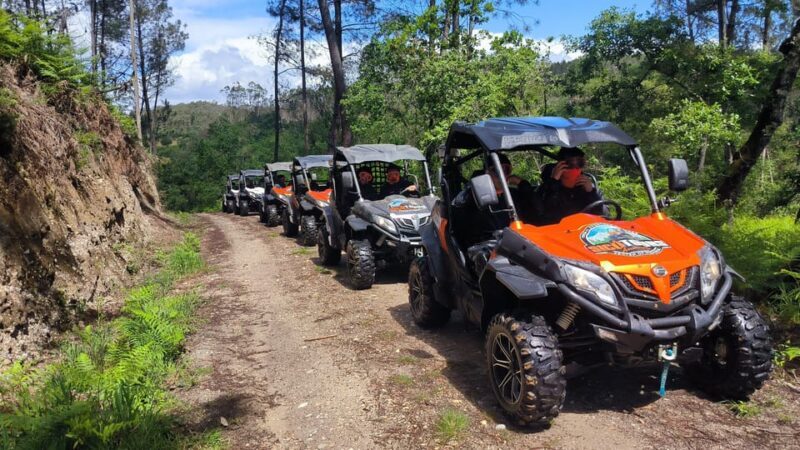 Pombal- Sicó: 120 minutes OFF-ROAD buggy ride - Pombal- Sicó: 120 Minutes OFF-ROAD Buggy Ride – An Adventure in the Heart of Portugal
