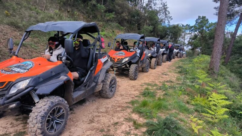 Pombal- Sicó: 60 minutes OFF-ROAD Buggy Ride - Key Points