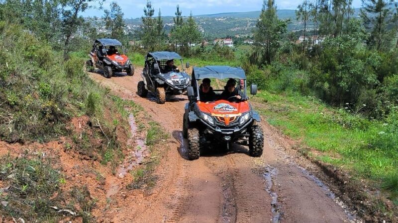 Pombal- Sicó: 60 minutes OFF-ROAD Buggy Ride - What’s Not So Perfect?