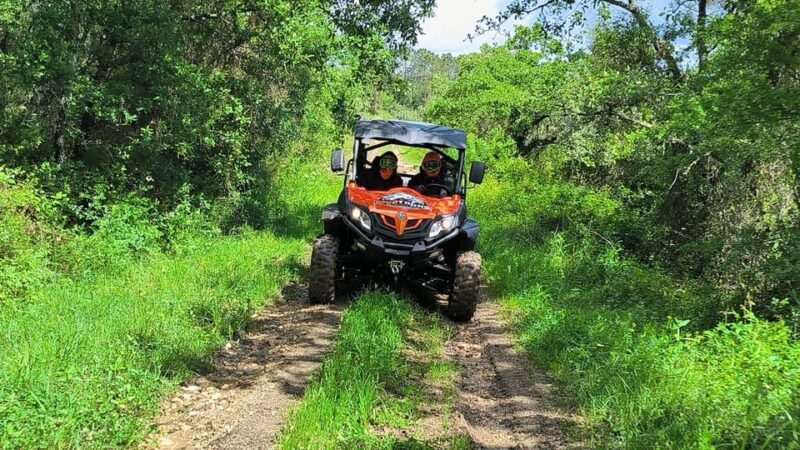 Pombal- Sicó: 60 minutes OFF-ROAD Buggy Ride - In Summary: Who Is This Tour Perfect For?