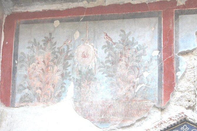 Pompeii and Herculaneum Private Tour with Native Guide and Skip the Line Tickets - Exploring the Itinerary: What You Can Expect