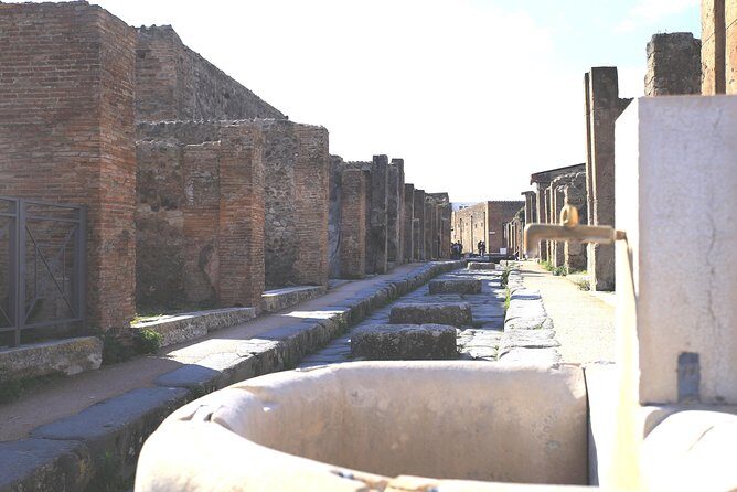Pompeii and Herculaneum Private Tour with Native Guide and Skip the Line Tickets - Final Thoughts