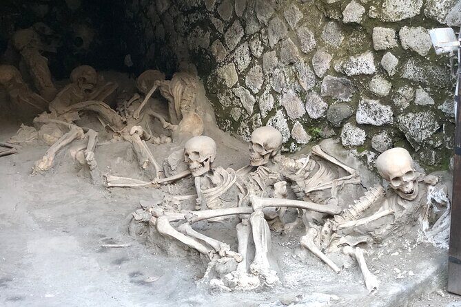 Pompeii and Herculaneum Private Tour with Pick up and Wine Tasting - A Deep Dive into the Tour Experience