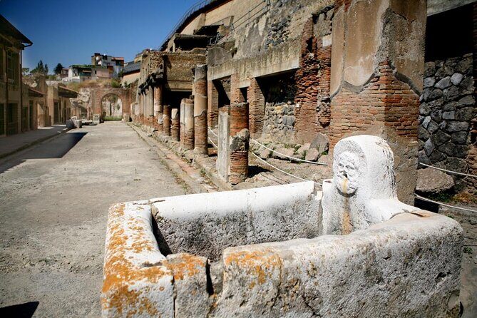Pompeii and Herculaneum Skip-the-Line Full Day Tour with a Private & Local Guide - Pompeii and Herculaneum Skip-the-Line Full Day Tour with a Private & Local Guide: A Detailed Look