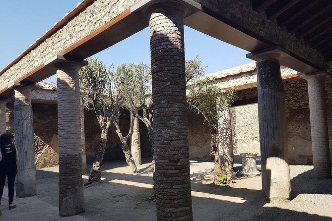 Pompeii and Naples from Rome: Enjoy a Full-Day Tour with Lunch - Who Will Love This Tour?