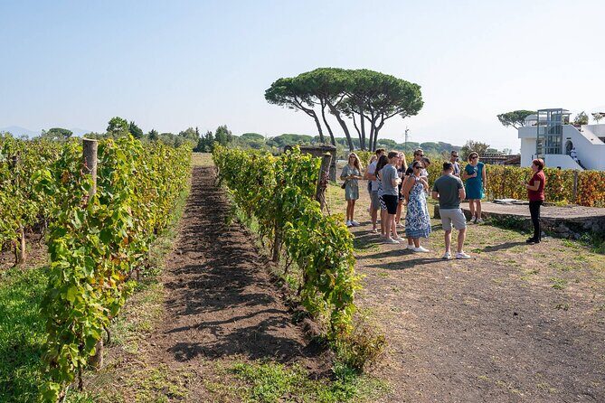 Pompeii and Naples From Rome: Private Full-Day Tour with Lunch - Who Is This Tour Best For?