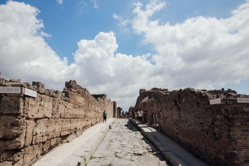 Pompeii and Sorrento Private Tour from Rome - Who Should Consider This Tour?