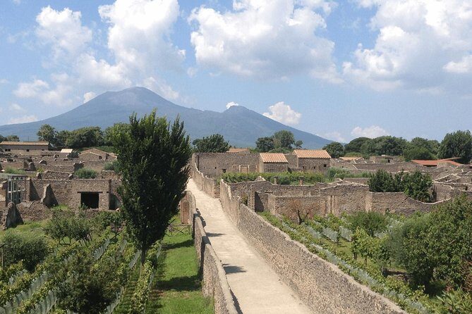 Pompeii and Vesuvius Day Trip from Naples with Lunch - Transportation and Group Size