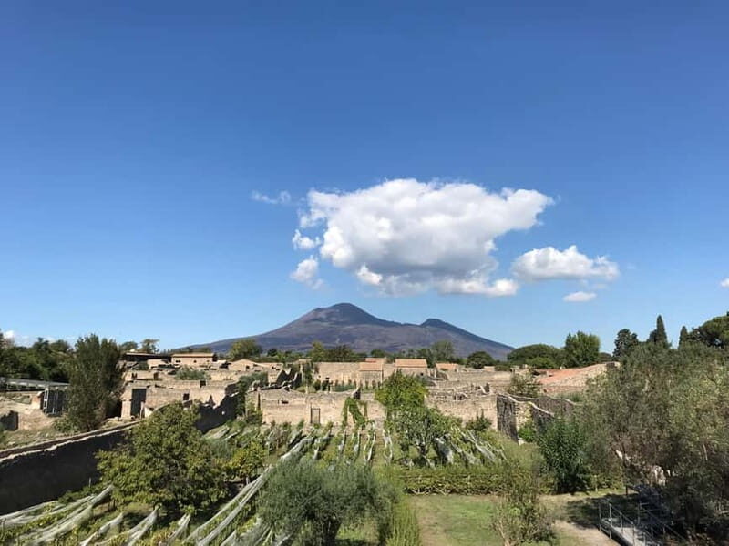 Pompeii: Archeological Tour & Wine Tasting at Mt. Vesuvius - Who Should Consider This Tour?