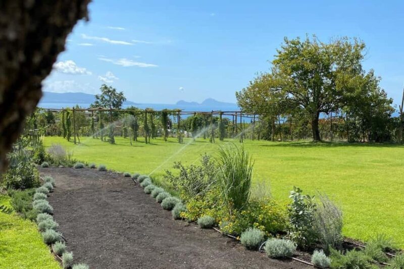 Pompeii: Dinner in a Farm To Table property on Mt. Vesuvius - FAQ