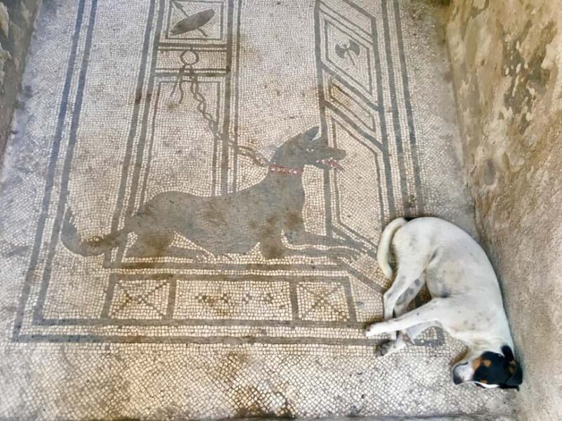 Pompeii: experience with a real archaeologist in a small group - Is it worth the price?