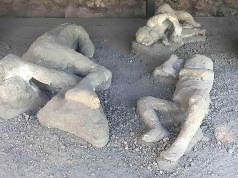 Pompeii: Group Guided Tour With Optional Tickets - Key Points