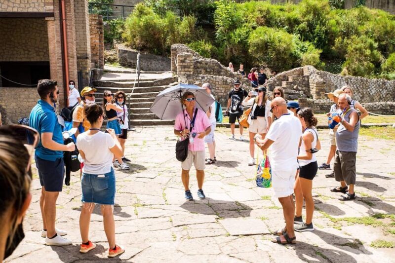 Pompeii: Group Guided Tour With Optional Tickets - Who Will Love This Tour?