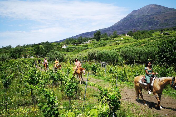 Pompeii Guided Tour & Horse Riding on Vesuvius with Lunch - Who Is This Tour Best Suited For?
