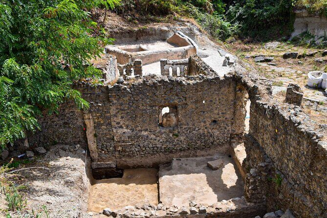 Pompeii Guided Tour & Lunch with Tasting at Two Vesuvian Wineries - Practical Tips and Considerations