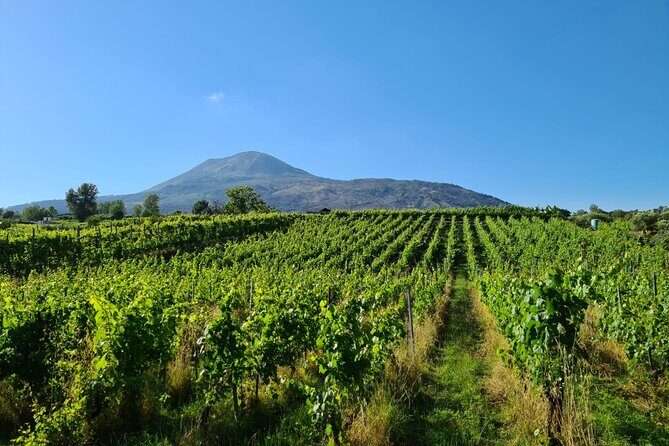Pompeii Guided Tour & Lunch with Tasting at Two Vesuvian Wineries - Frequently Asked Questions
