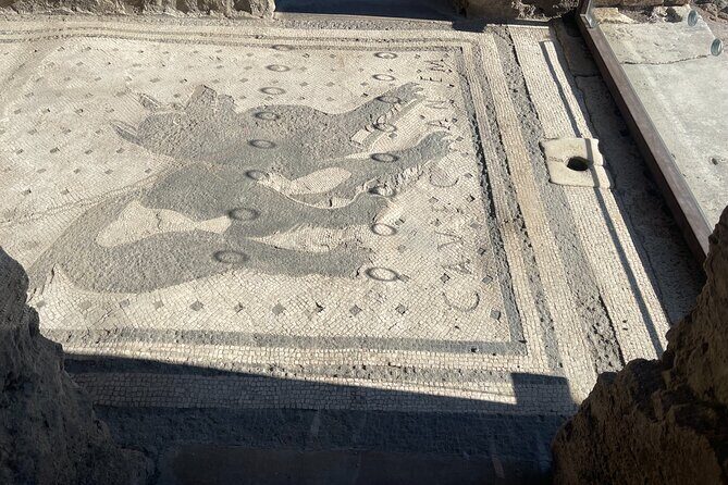 Pompeii Guided Tour with Skip-the-Line Entry - Price and Value Considerations