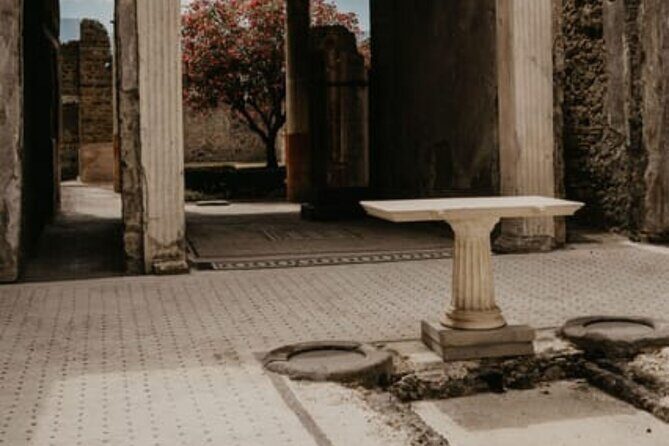 Pompeii Guided Tour with Train Included from Rome - Who Would Love This Tour?