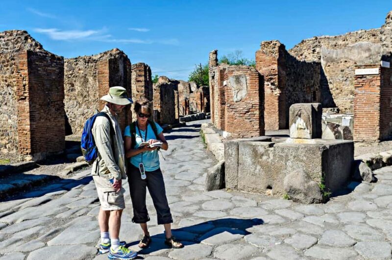 Pompeii Guided Walking Tour with Skip-the-Line Ticket - The Practical Side: Logistics and Value
