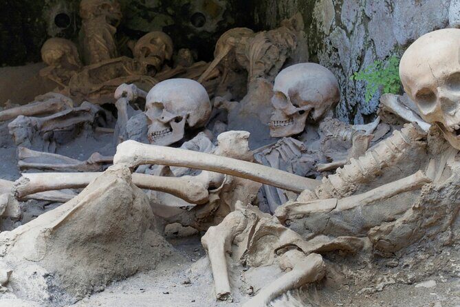 Pompeii, Herculaneum and Mount Vesuvius Private Tour from Naples - Who Is This Tour Best Suited For?