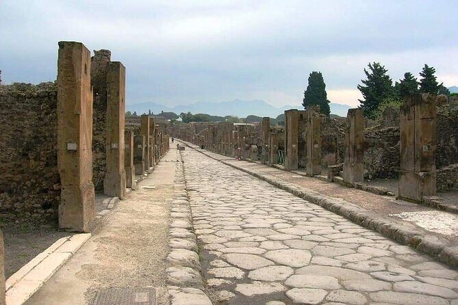 Pompeii Herculaneum - Lunch & Wine Tasting: Savoring Local Flavors