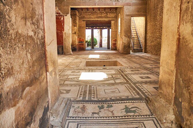 Pompeii, Herculaneum & Mt Vesuvius Private Tour from Naples - A Detailed Look at the Tour Experience