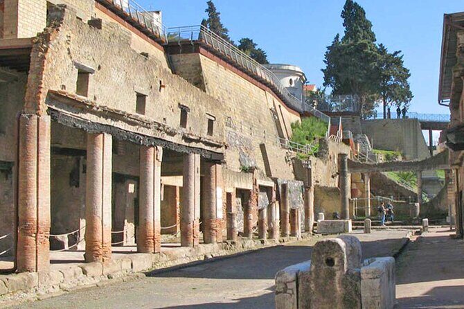 Pompeii & Herculaneum Private Tour: Fast-Track, Winery & Lunch - Timing and Tour Duration