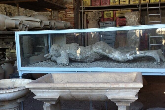 Pompeii, Herculaneum & Wine Tour, with Licensed Guide included - A Deep Dive into the Tour Experience