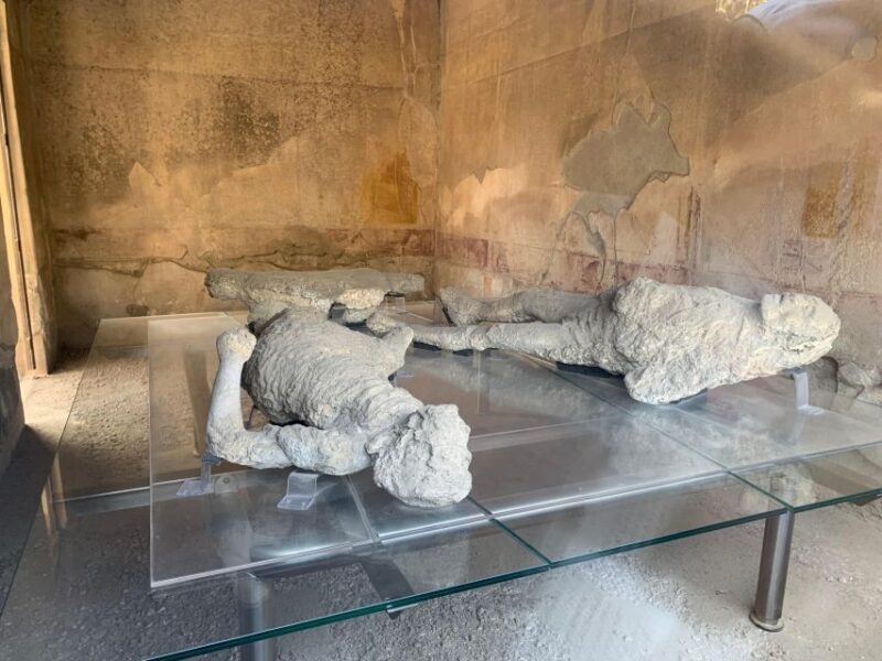 Pompeii in 2h and 30mnt: walk with local guide - Who Should Consider This Tour?