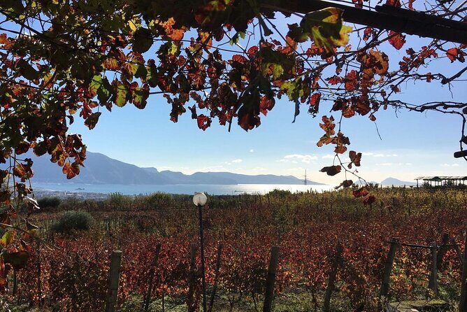 Pompeii, Mt Vesuvius and Wine Tour - FAQs