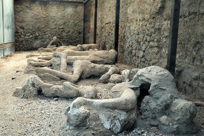 Pompeii, Mt. Vesuvius, Herculaneum Private Tour - Who Is This Tour Best For?