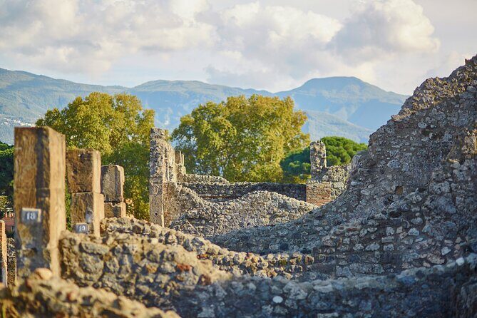 Pompeii Private & Personalized Tour with archeology expert guide - Final thoughts