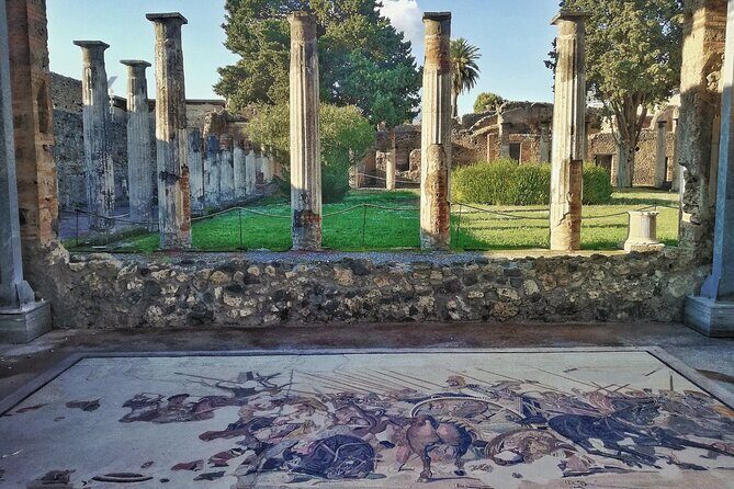 Pompeii Private Walking Tour with Expert and Authorized Guide - What to Expect from This Tour