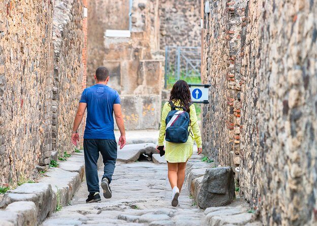 Pompeii ruins and the city of Naples with private transportation - Is This Tour Right for You?