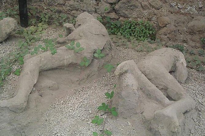 Pompeii Ruins Excursion for 3 hours (round-trip included) - The Experience Inside Pompeii