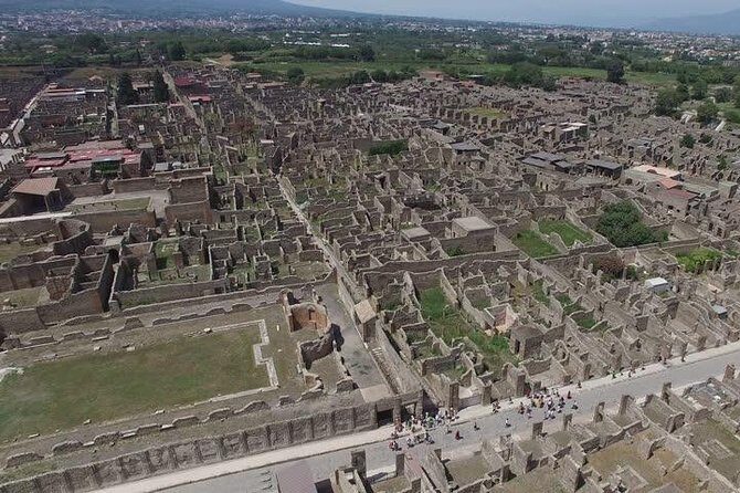 Pompeii Ruins Excursion for 3 hours (round-trip included) - Analyzing the Value